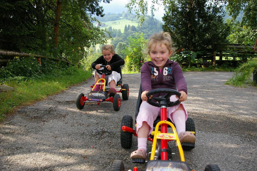 Bio-Bauernhof Rettenbachgut Werfen Buitenkant foto