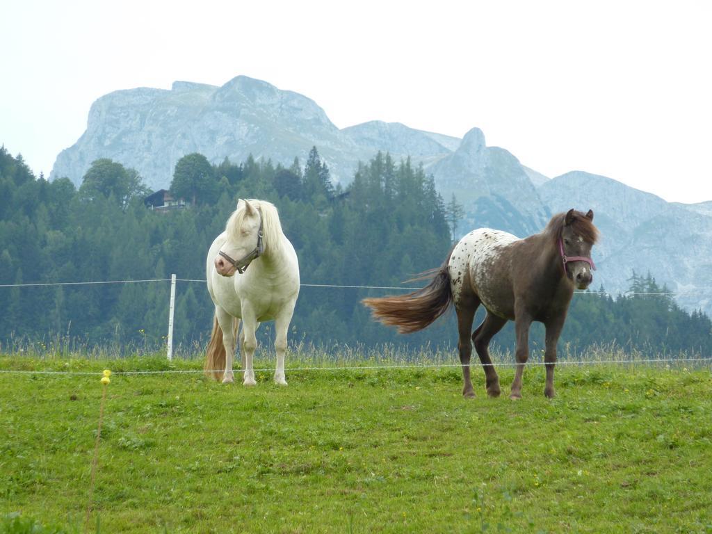 Bio-Bauernhof Rettenbachgut Werfen Buitenkant foto