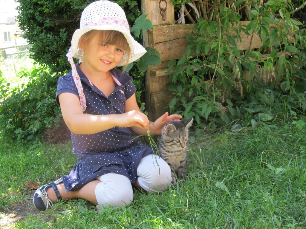 Bio-Bauernhof Rettenbachgut Werfen Buitenkant foto