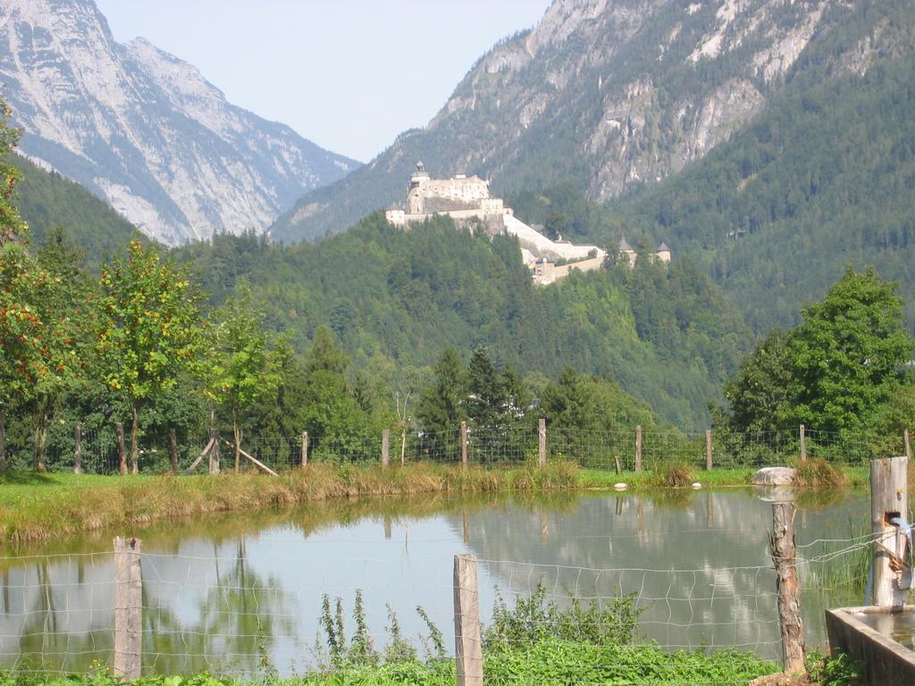 Bio-Bauernhof Rettenbachgut Werfen Buitenkant foto